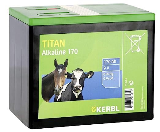 BATTERIA TITAN ALKALINE 170